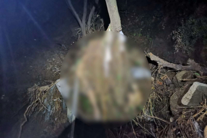 Mudanya'dan acı haber! Cesedi 2 gün sonra bulundu