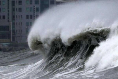Güney Kore'de Hinnamnor Tayfunu alarmı