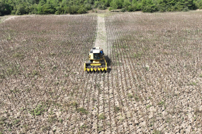 Mudanya’da ayçiçeğinden elde edilecek yağ ihtiyaç sahiplerine dağıtılacak