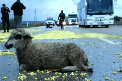 Tır şoförünün dikkati faciayı önledi