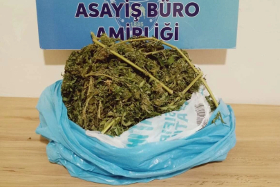 Evinde uyuşturucu bulunan kadın gözaltına alındı