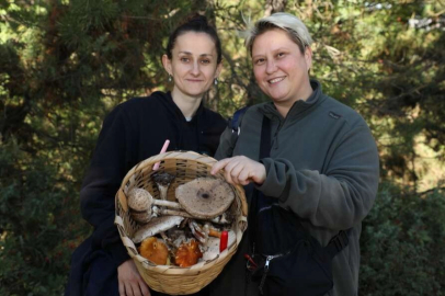 Türkiye’nin mantar avcıları Bursa’da buluştu