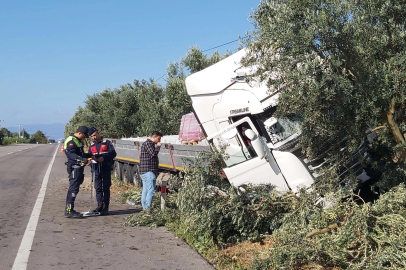 Uyuyan şoför zeytinliğe daldı