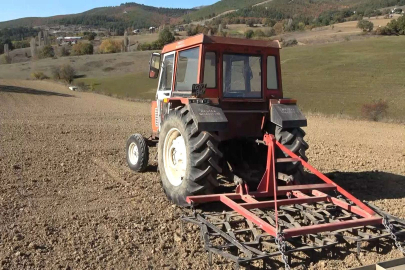 Türkiye’nin en ucuz ekmeği artık bu tarladan çıkacak