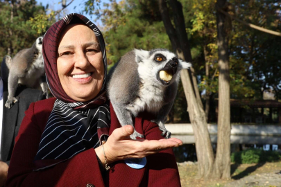 Bursa Zoo 24 yaşında