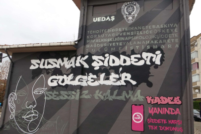 Trafolar "Susmak Şiddeti Gölgeler" sözleriyle boyanarak farkındalık oluşturuldu