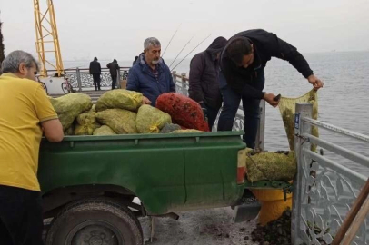 Kaçak midye avcılarına operasyon