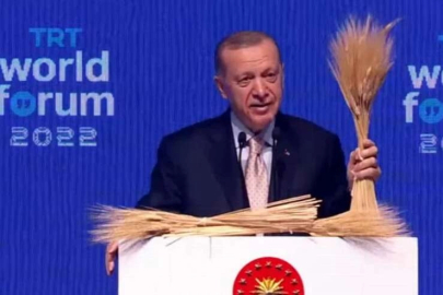 Tahıl krizi için Putin'le görüşülecek