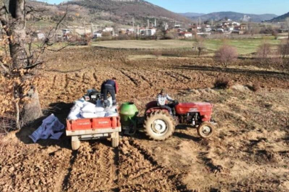 Gürsu Belediyesi buğday ekti