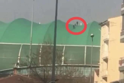 Timsah Arena'da enteresan olay!