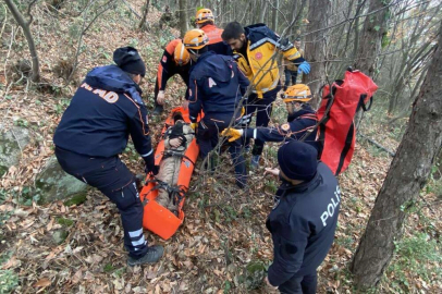 Uludağ'ın ormanlarında 12 saatlik can pazarı