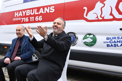 Patili dostlara ‘Haybulans’