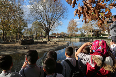 Bayram neşesi, Hayvanat Bahçesi’nde yaşanacak