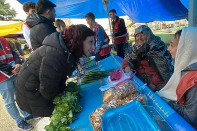 Bursa Yenişehir'de CHP'li gençler sahada