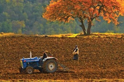 Üreticiye 38,3 milyon TL bugün hesaplarda