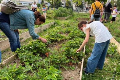 Nilüfer'de 'Çocuk Bostanı' Projesi