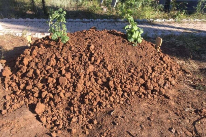 Acılı anne oğlunun mezardan kaçırıldığını iddia etti