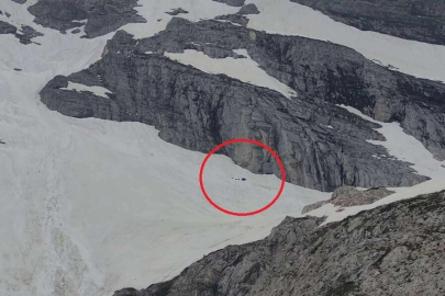 Uludağ'ın zirvesinde kış uykusundan uyanan ayılar görüntülendi.