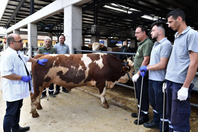 Osmangazi’de kurban yakalama timleri hazır