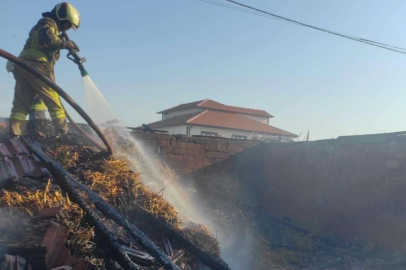 Çiftlikte nedeni belirsiz  yangın