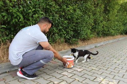 Nilüfer, bayramda can dostları unutmadı.