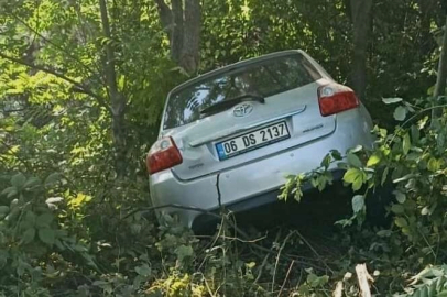 Şarampole yuvarlandı : 1 yaralı