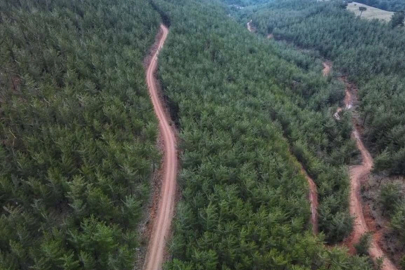 Ülkemizin akciğerlerini korumak için Cumhurbaşkanından davet