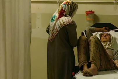 Çilek tarlasında yılan ısırdı