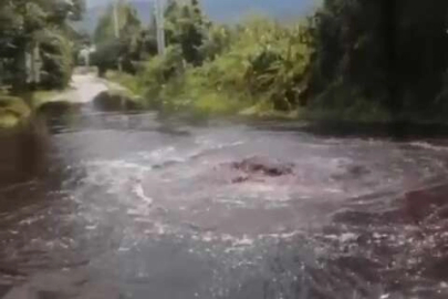 Rögar patladı zehirli atıklar armut bahçelerine aktı