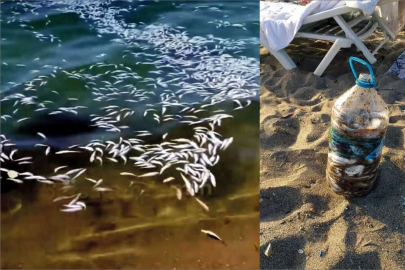 Yakalanacaklarını anlayınca tonlarca Mezgiti döküp kaçtılar