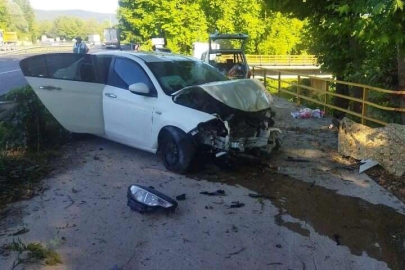 Bursa'da feci kaza! Otomobil piknik yapan aileye çarptı