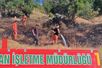 Orhaneli'de çıkan yangın başarıyla söndürüldü