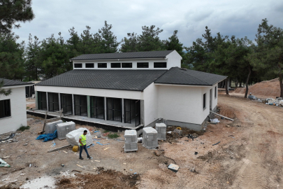 Bursa'da sokak hayvanları için rehabilitasyon merkezi