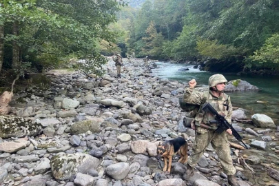 Kaçak girişe Mehmetçik darbesi