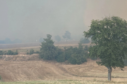 Bursa'da orman yangını!