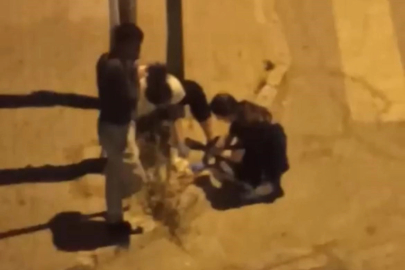 Otomobilin çarptığı kediye dakikalarca kalp masajı yaptılar