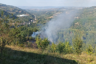 Bahçesindeki çalıları ateşe verdi! Dumandan zehirlenerek hayatını kaybetti