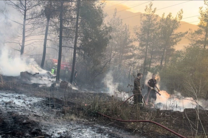 Kestel'deki orman yangını kontrol altına alındı