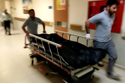 Tarlada çalışırken arının soktuğu kadın hayatını kaybetti