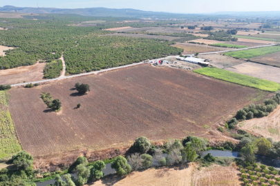 Mudanya Belediyesi dayanışmayı tarımla büyütüyor