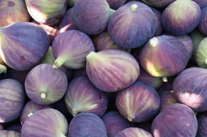 Kraliçe incirinde fiyatlar üreticiyi memnun etmedi