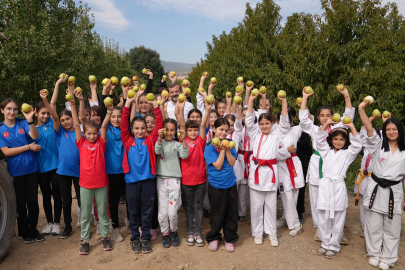 'Bizim elimiz sadece armut toplamaya kalkar'