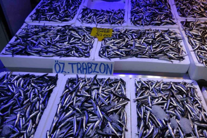 Hamside son yılların en bereketli sezonu