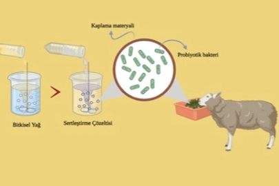 BUÜ’lü akademisyenlerin projesine YÖK'ten destek