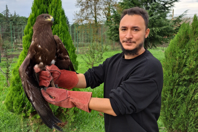 Yaralı kartal tedavisinin ardından özgürlüğüne kavuştu
