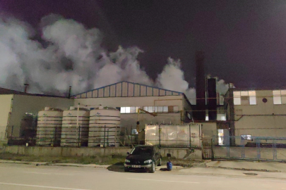 Bursa'da tekstil fabrikasında yangın çıktı