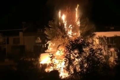 Ağaçlık alanda çıkan yangın korku dolu anlar yaşattı!