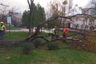 Yıldırım’da lodosla etkin mücadele