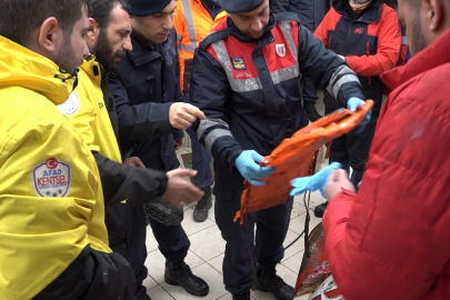 Batan gemiden geriye kalanlar sahile vurdu