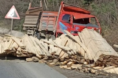Kereste yüklü kamyonun freni patladı, sürücü yaralandı